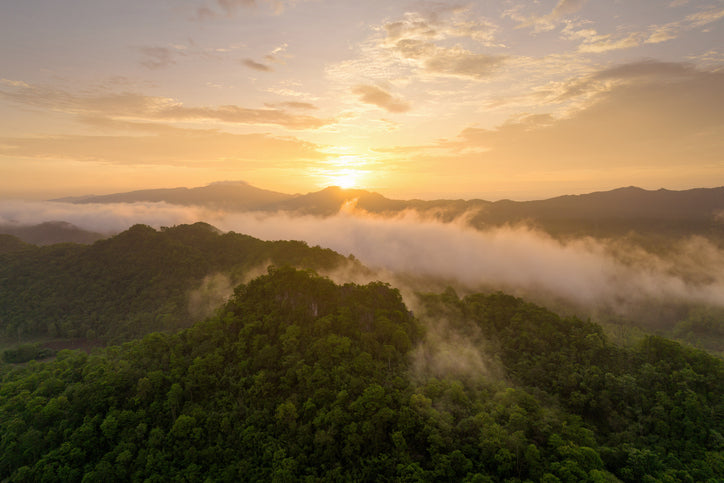 Landschaftsbild von Bäumen, Sonnenuntergang und Wolken
